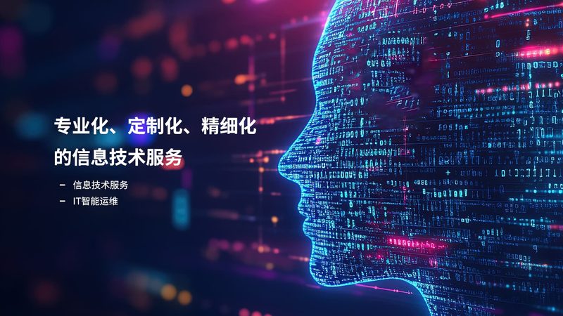 上海it外包公司性价比