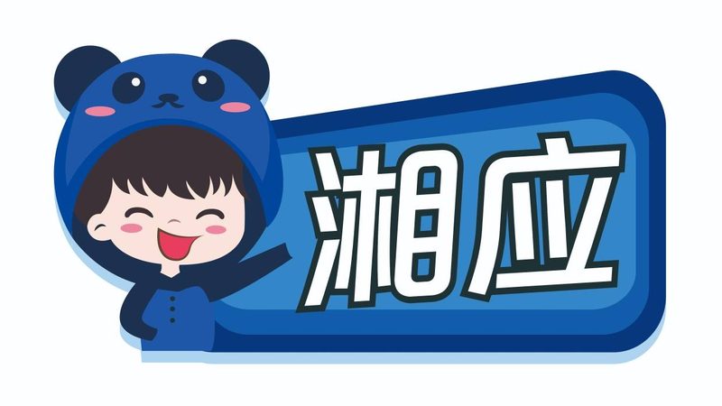 IT咨询公司加盟支持政策解析：助力企业数字化转型**